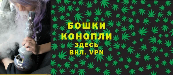 ECSTASY Богородицк